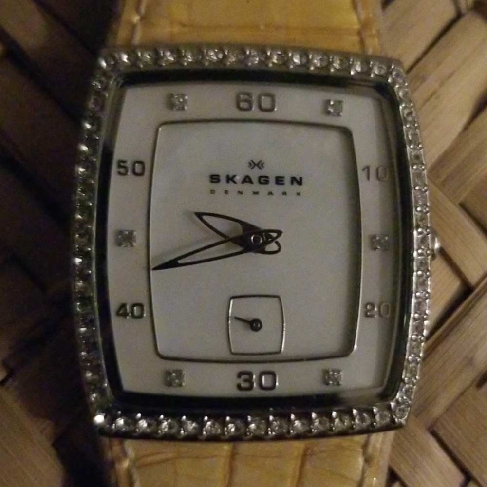 Skagen Denmark Watch🕛